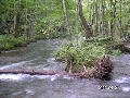 s_PICT0058s.png
